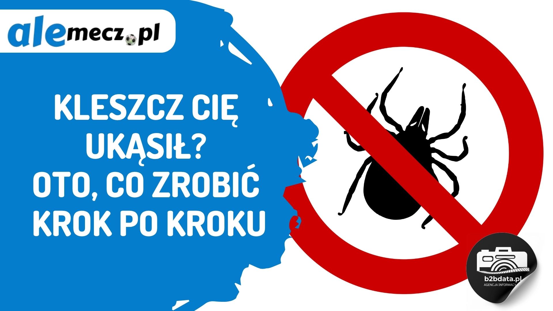 You are currently viewing Kleszcz Cię ukąsił? Oto, co zrobić krok po kroku