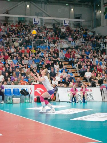 PGE Budowlani Łódź - Developres Rzeszów